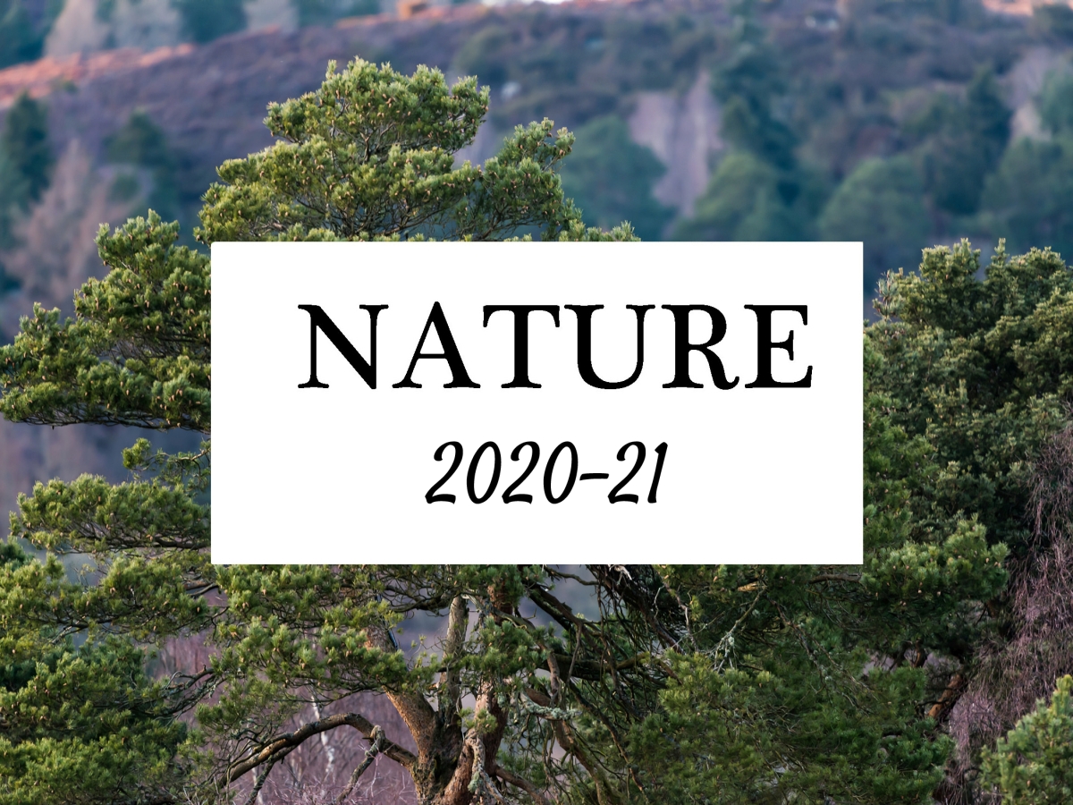 Nature Competition, 2020-21